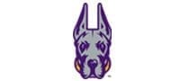 Purple dog mascot logo design.