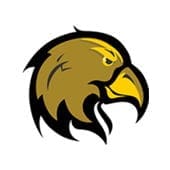 Golden eagle head logo design.