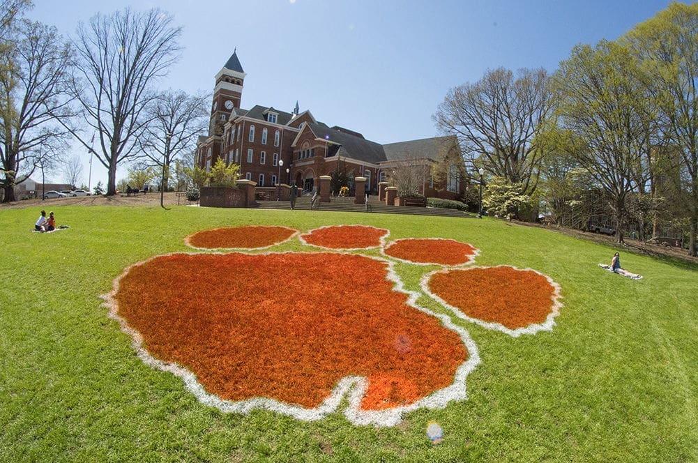 Clemson University paw print on campus lawn.