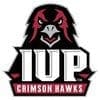 IUP Crimson Hawks logo featuring a fierce hawk.