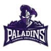 Furman University Paladins logo featuring a knight.