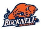 Bucknell Bison logo featuring a strong orange bison.