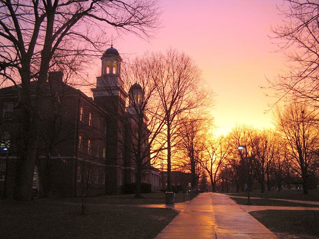 Sunset over campus with trees and pathway.