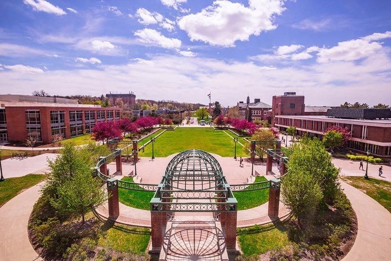 University campus with green lawn and blooming trees.