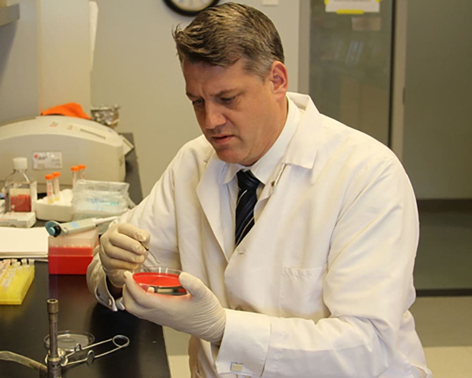 Mark Shirtliff Scientist conducting research with petri dish in lab.
