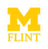 Flint logo in yellow and black colors.
