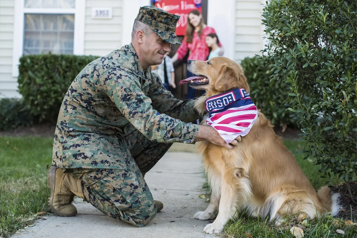 a military member petting a dog wearing a USO bandana