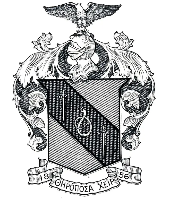 old shield graphic